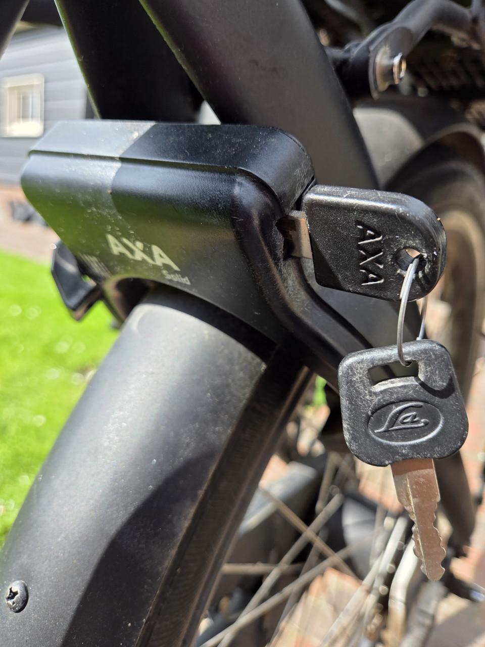 Bakfiets Vogue Carry 2 - elektrisch met huif en kussens