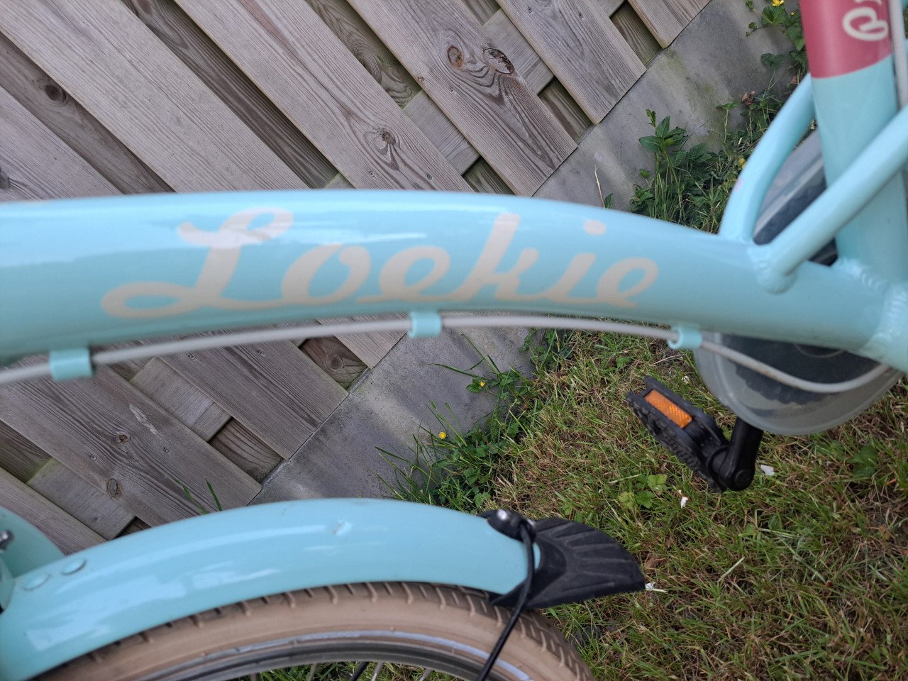 Mooie meisjesfiets 20 inch