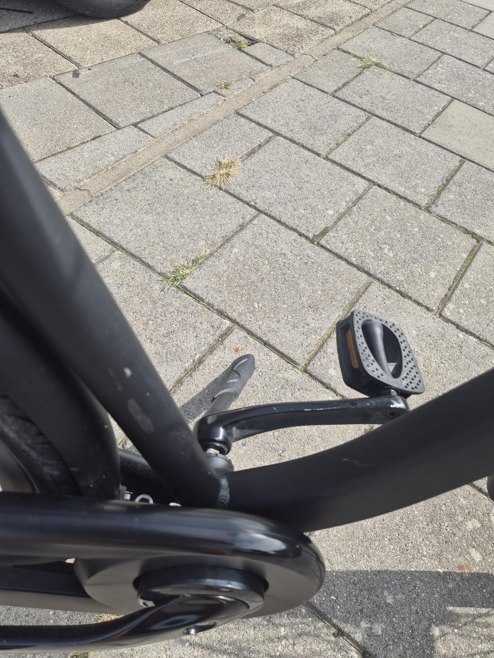 Gazelle Esprit herenfiets | Framemaat 54 | 3 versnellingen | 2025