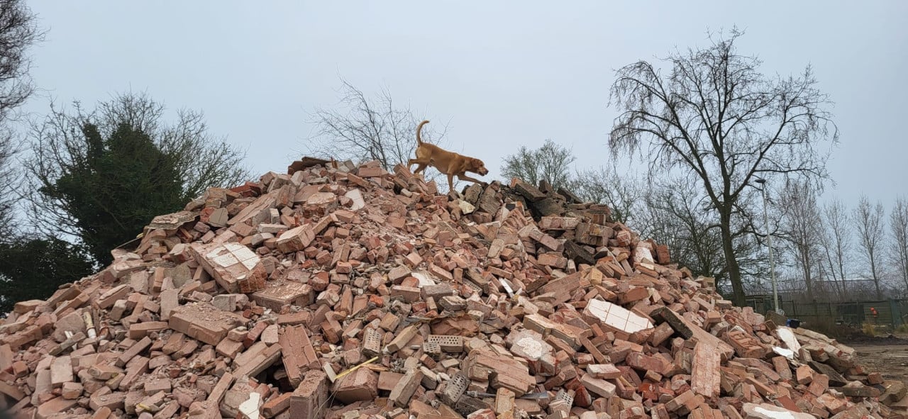 Jubileumlezing NEUSWERK van de hond