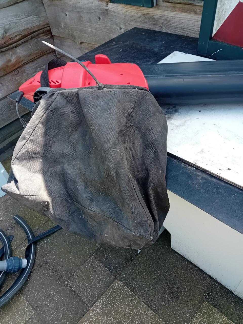 Bladzuiger en blazer