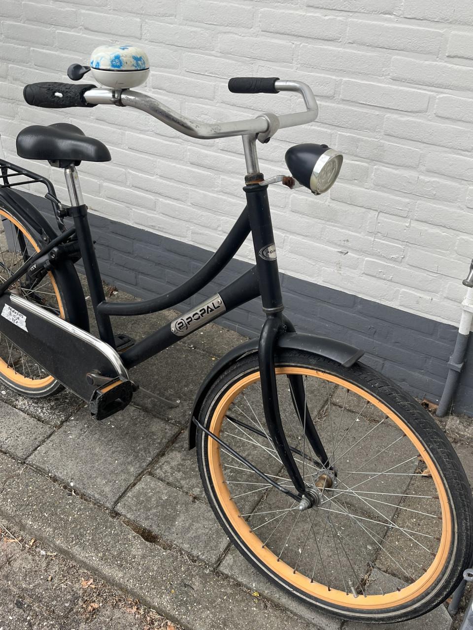Leuke popal Meiden fiets