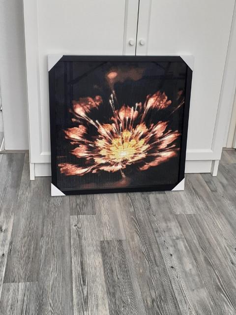 DIAMOND PAINTING INGELIJST 50 x 50 cm.