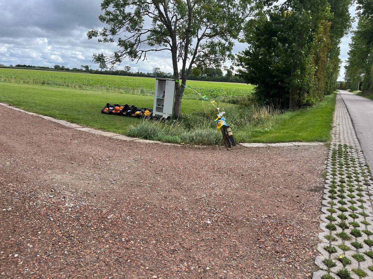 Pompoenen en kalebassen