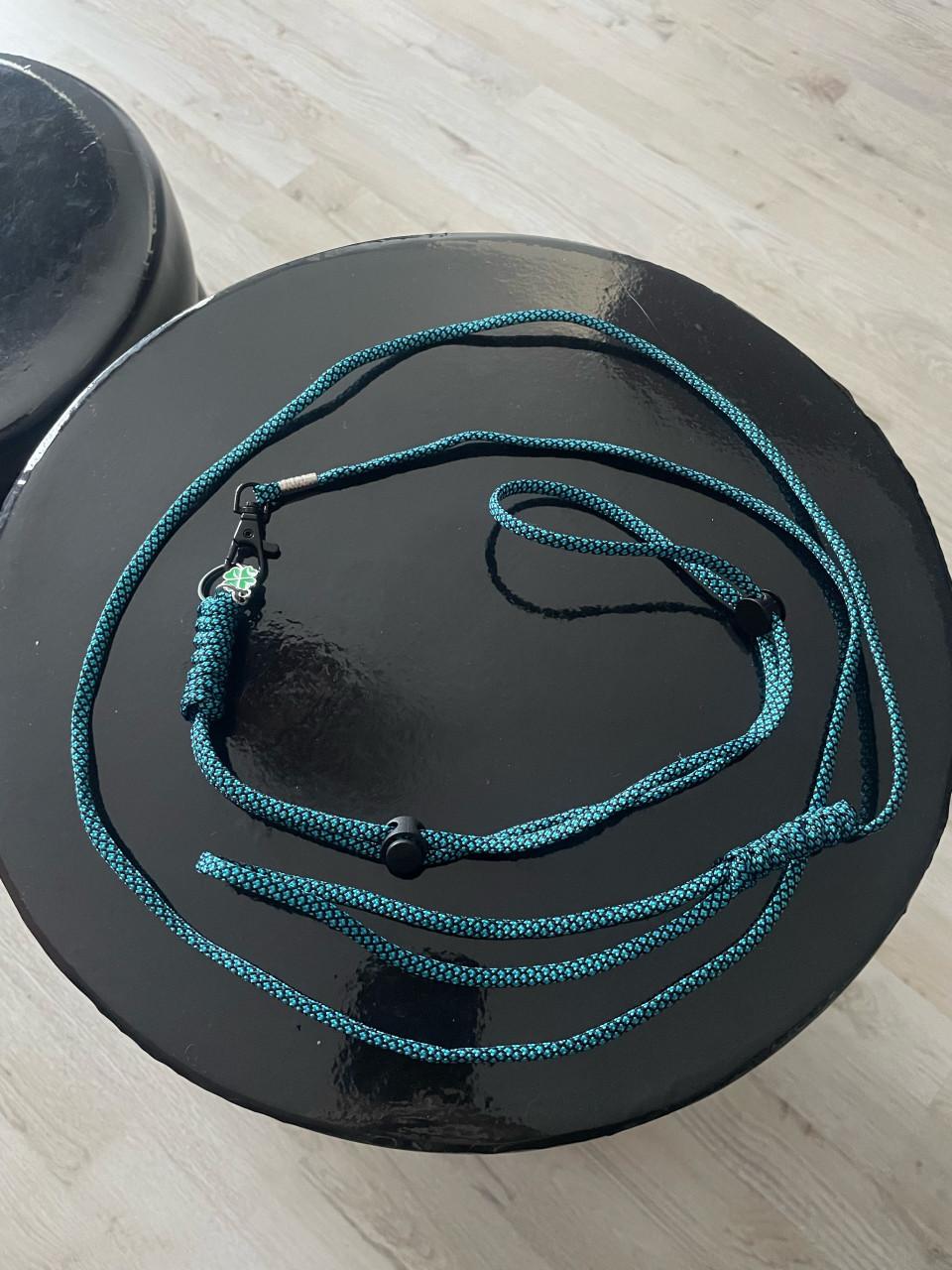 Tuigje knaagdieren of kitten