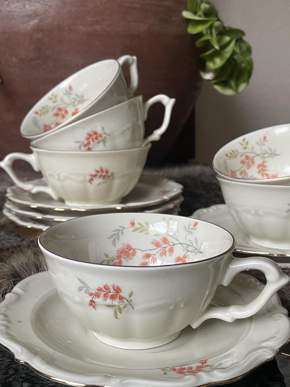 Tielsch-Altwasser kop en schotels Germany(41)