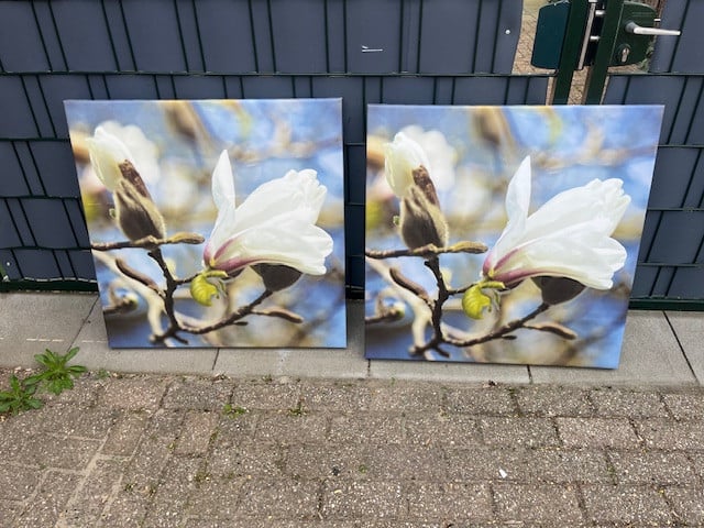 2 Fotolijsten op canvas