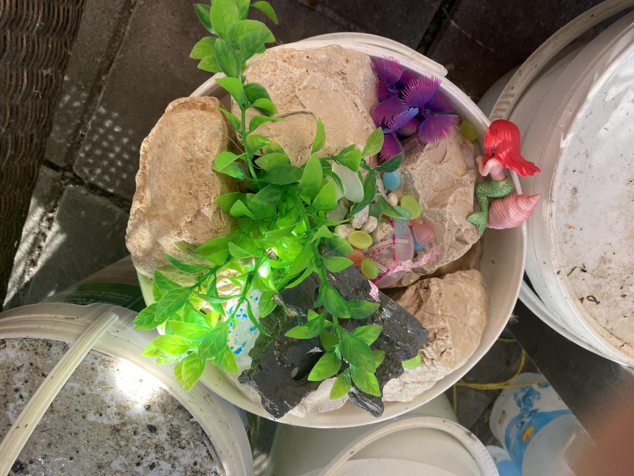 Aquarium