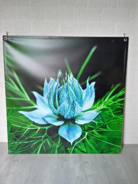 Mooie kwaliteit tuinposter UV bestendig 1m x 1m.