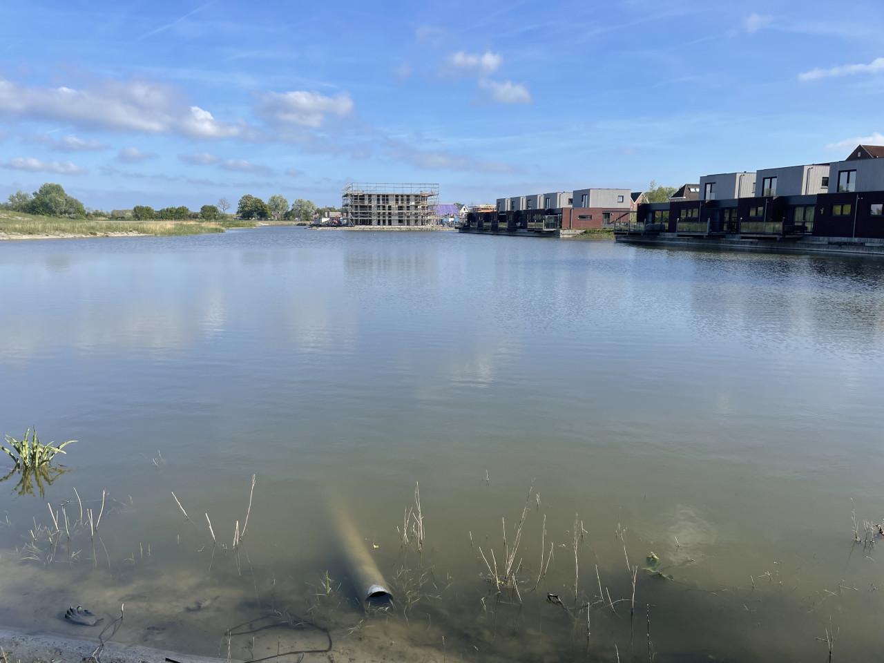 KOOP je visvergunning voor 2026 bij Karpervisserij Koudekerke € 17,50