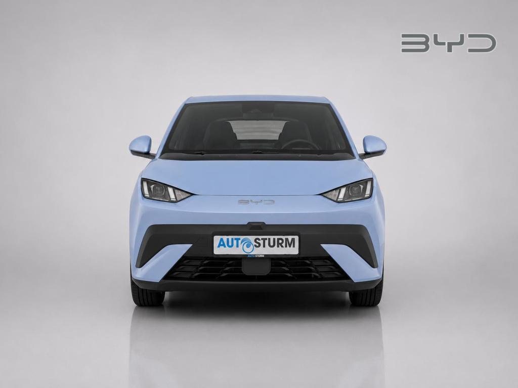 Byd Dolphin Surf active 30 kwh