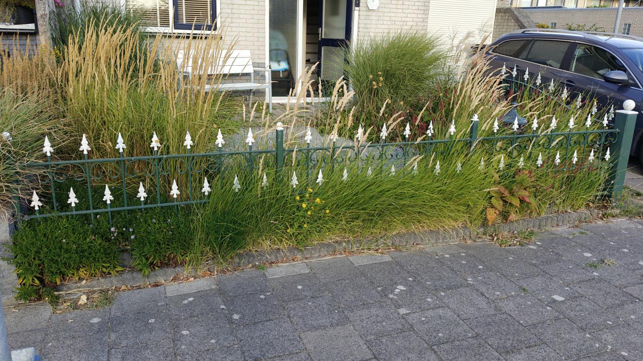 Mebo ijzer Sierhekwerk