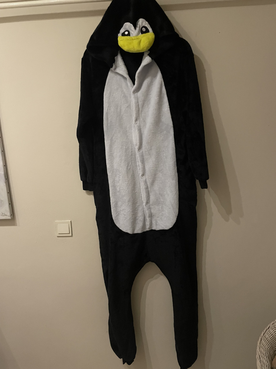 Onesie pinqiun