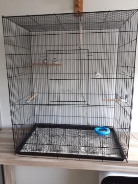 Grote kooi met 2 bichenows mannen