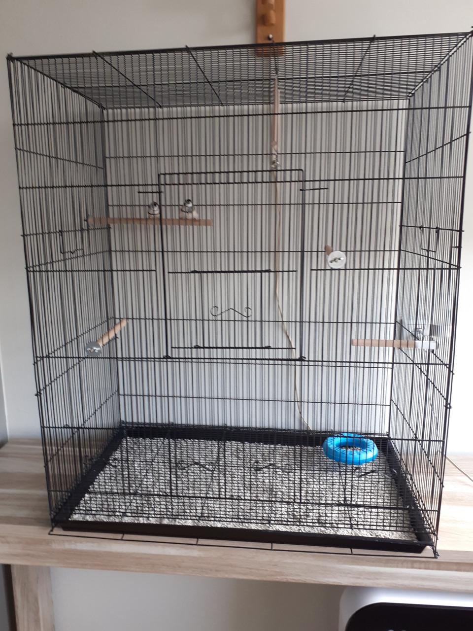 Grote kooi met 2 bichenows mannen