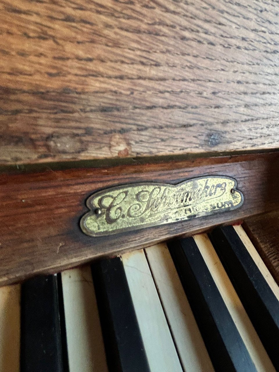 Carl Ecke piano
