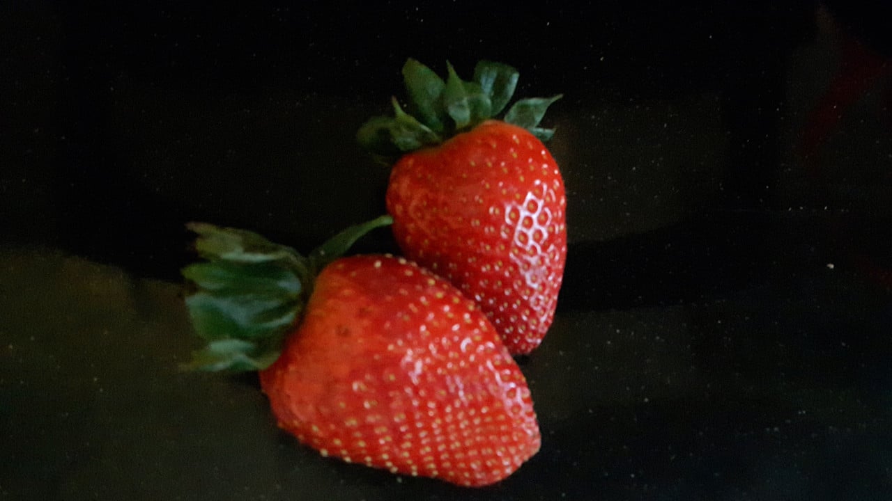 Aardbeienplanten, frambozenplanten en bessenplanten