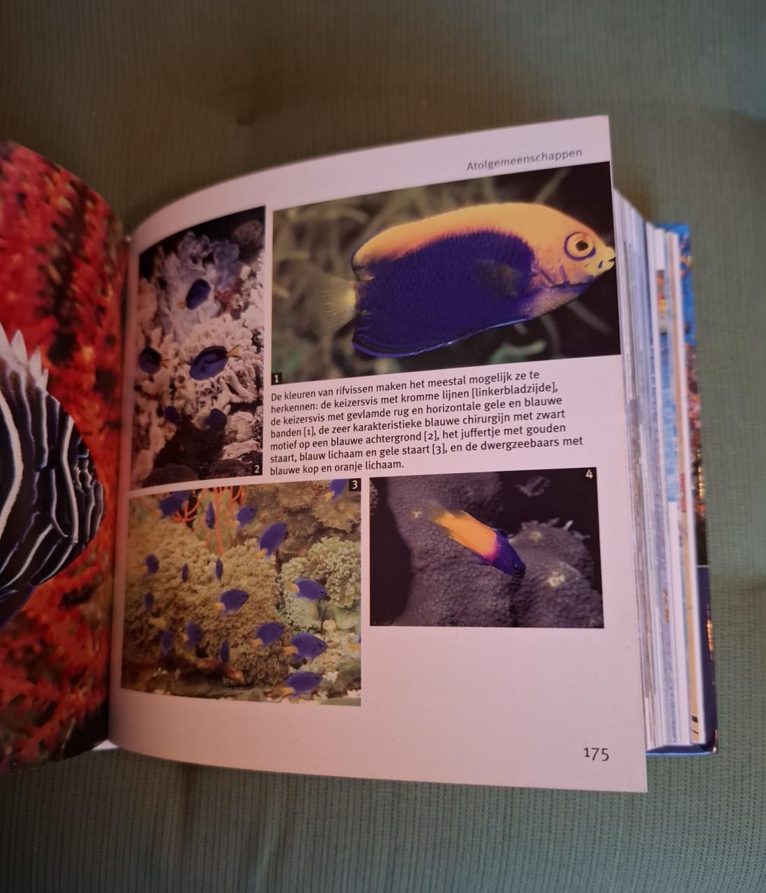 Vissen en walvissen, 1001, foto's, red. Pascal Deynat, blokboek