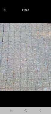 Tegels