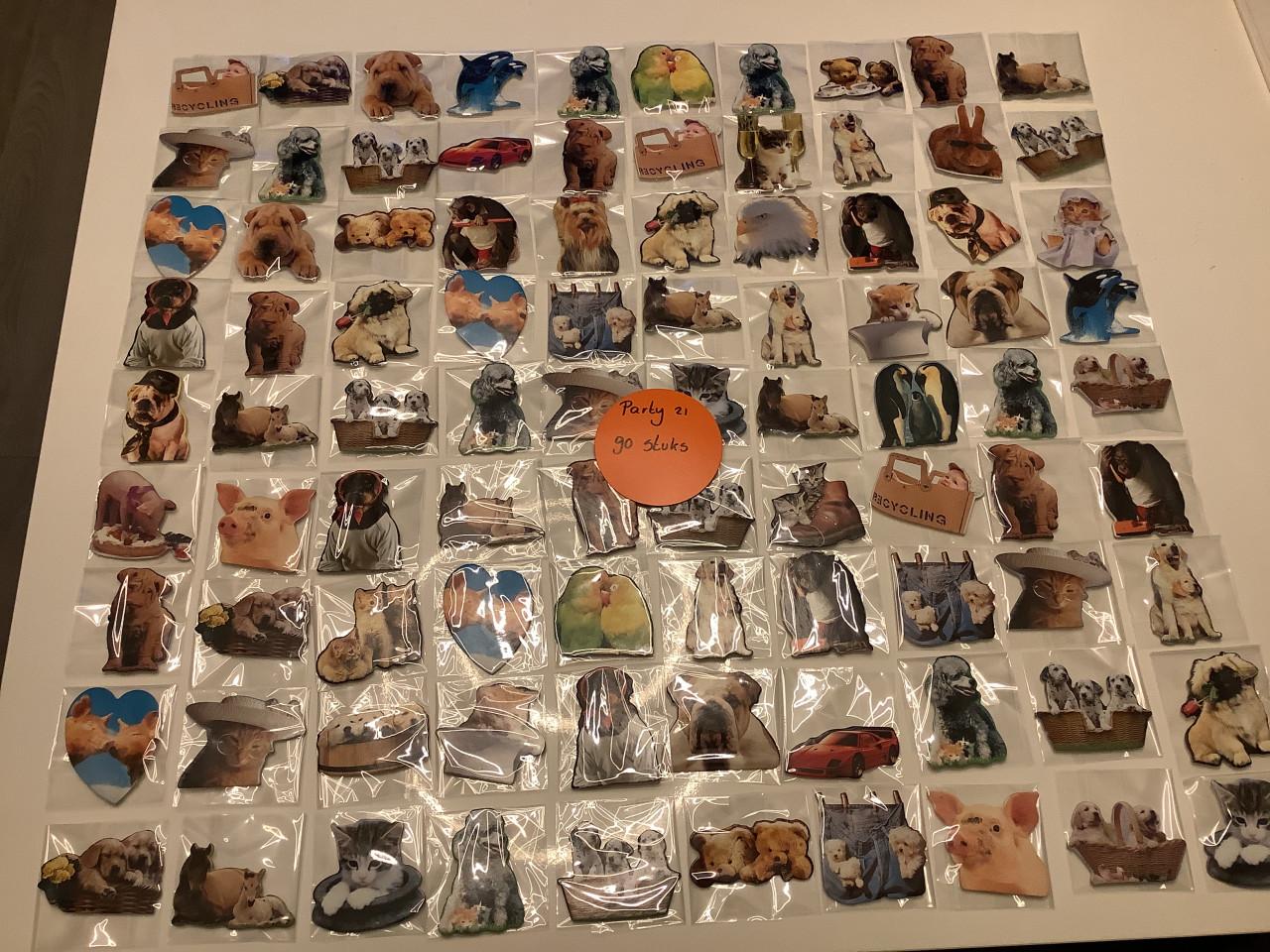 Partij super leuke magneetjes ( partij 21)