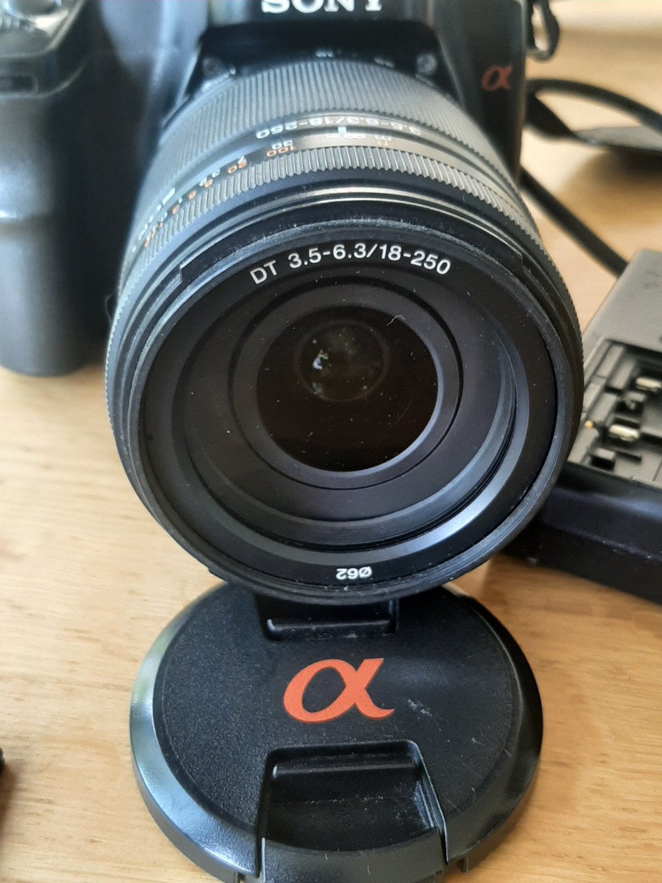 Sony A100 met Sony 18-250 mm lens