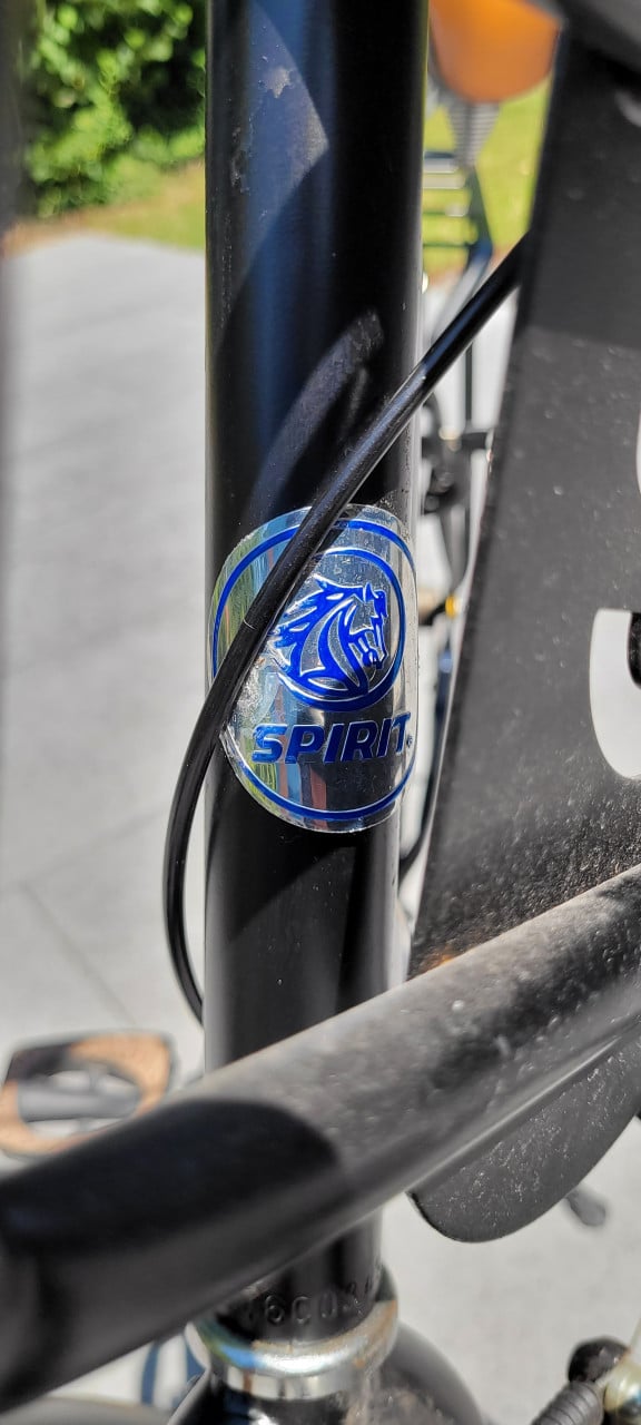 Meisjes fiets
