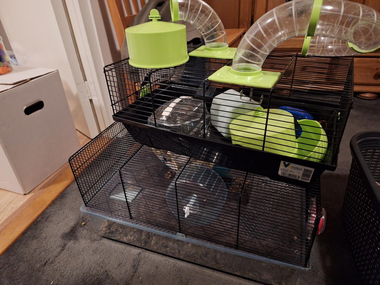 2x hamsterkooi met toebehoren