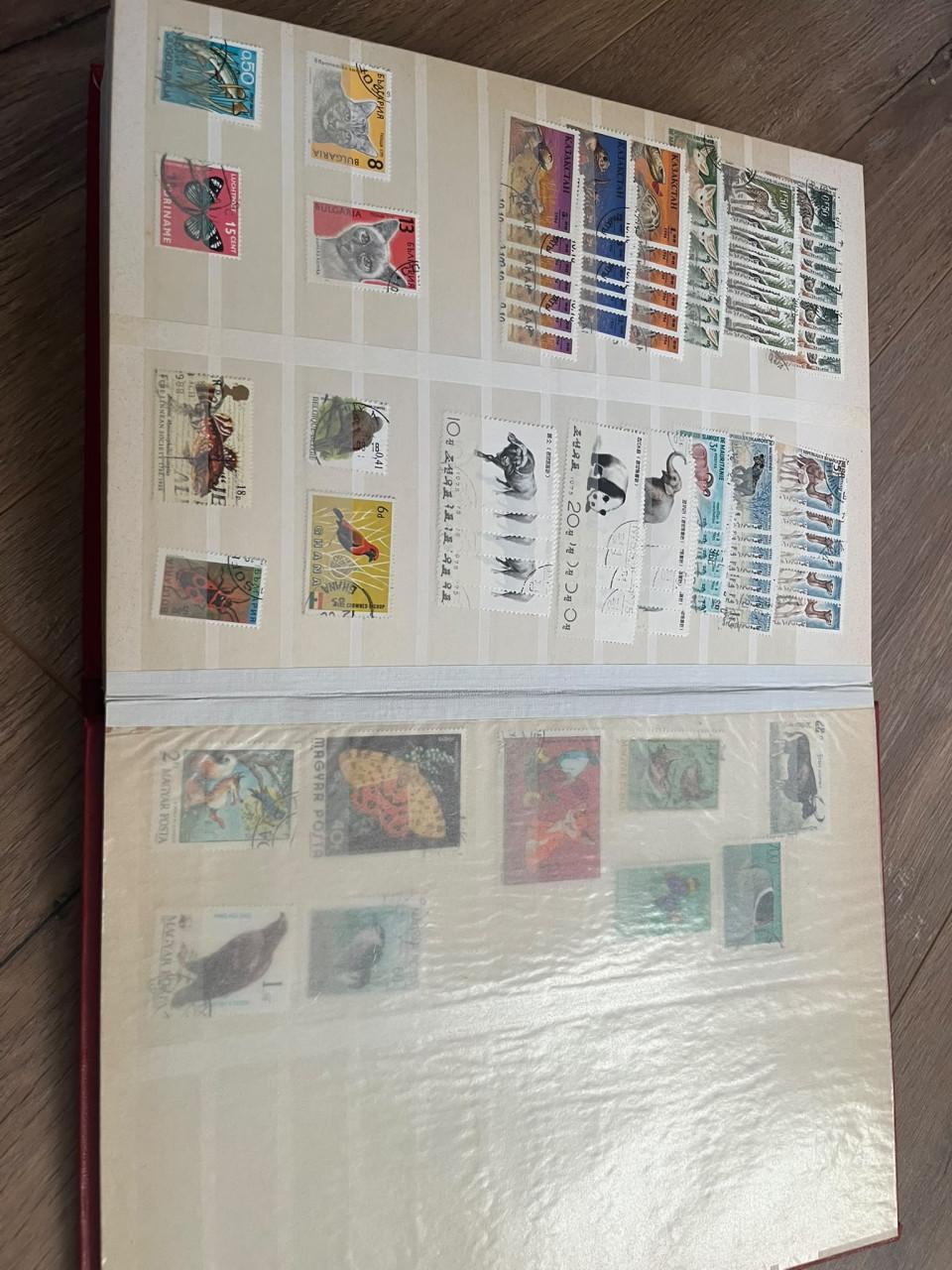 Dik album met motief dieren/fauna