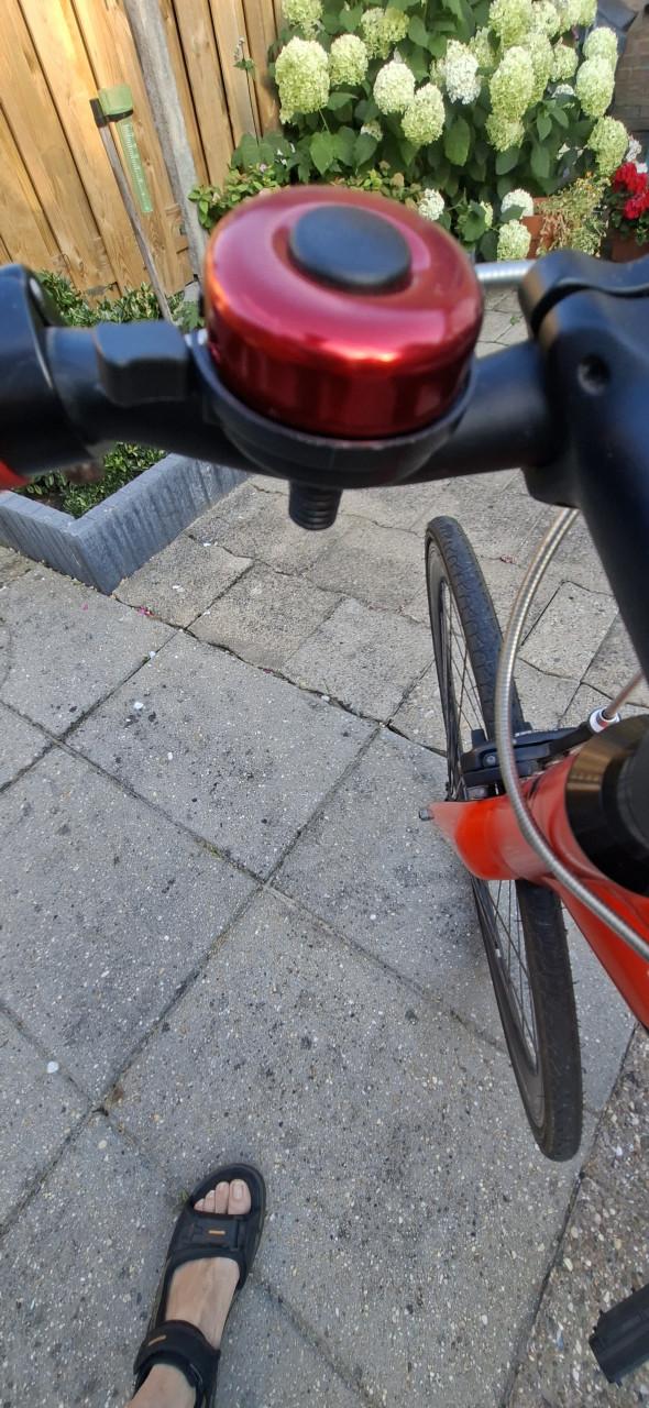 Fixie Bikes, Single Speed