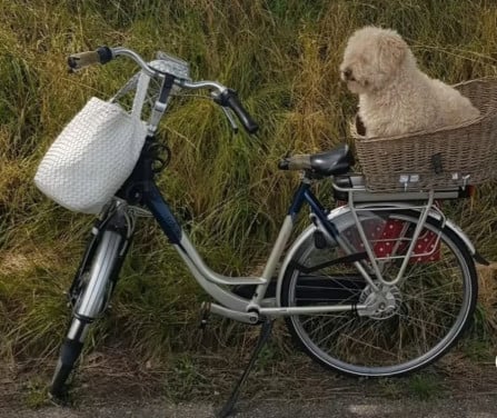Dames elektrische fiets