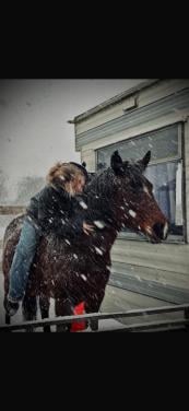 Verzorgpony gezocht of werk