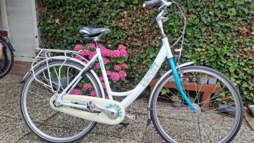 Gazelle Esprit damesfiets 3 versn.