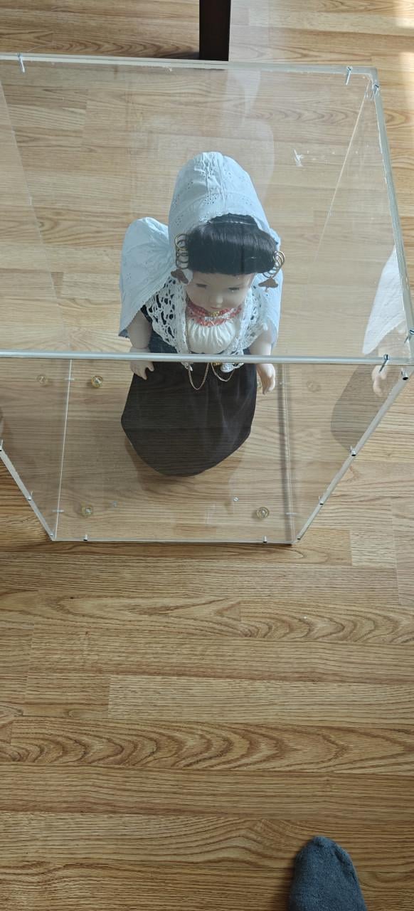 Te Koop Walcherse Klederdracht pop (en stof vrije kast van plexiglas)
