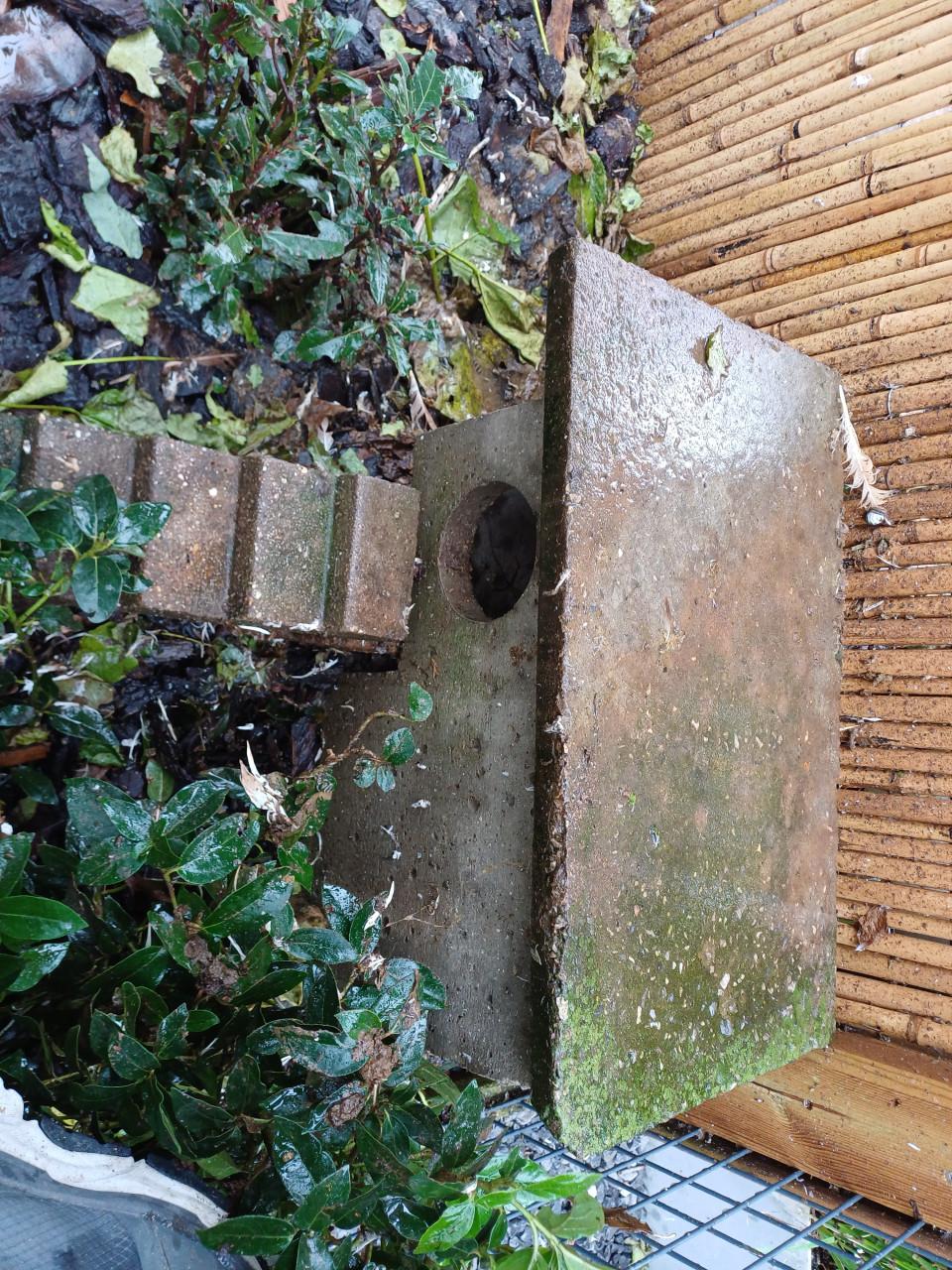 Eenden nestkasten van beton
