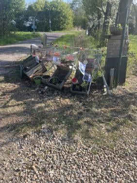 Biologische tuinplanten