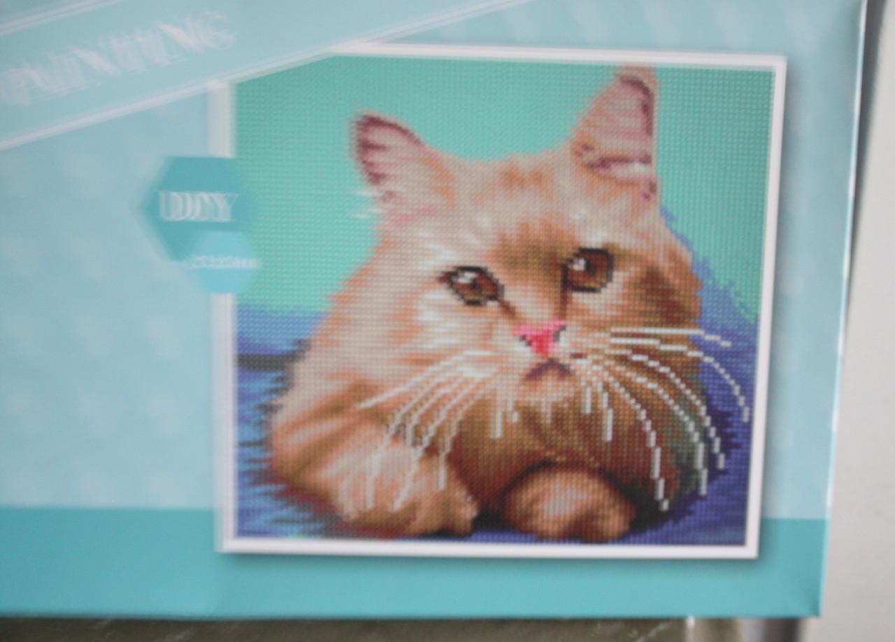 Nieuw in verpakking diamond paiting  rode kat