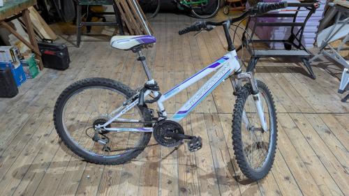 Stoere meisjesfiets