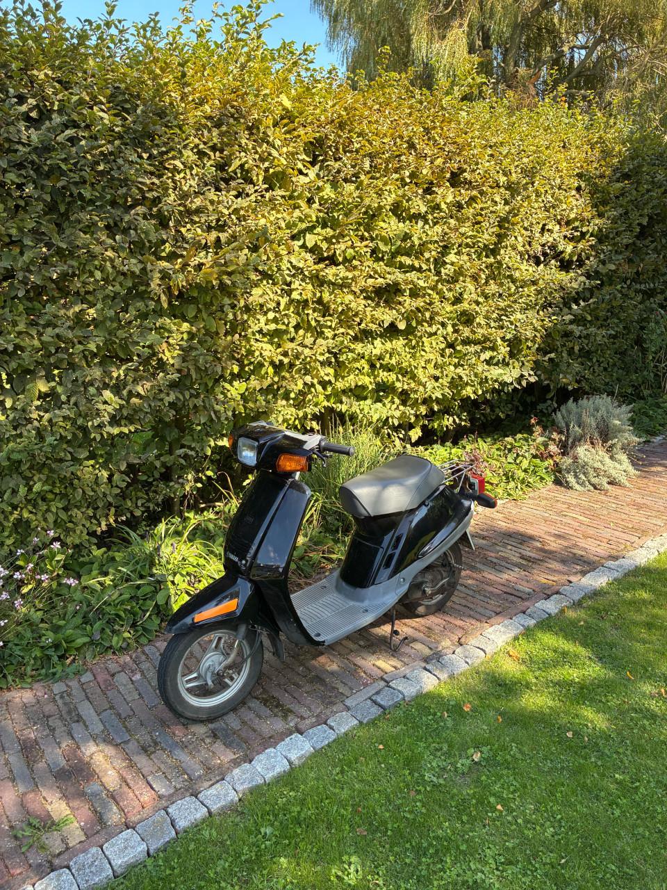 Yamaha mint