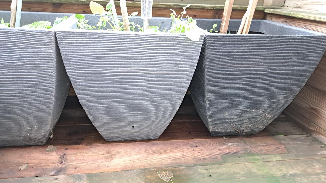 Plantenbakken incl. diverse planten