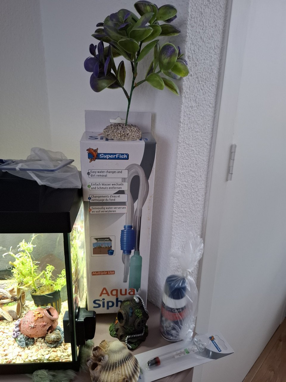 Compleet aquarium met alles erop en eraan