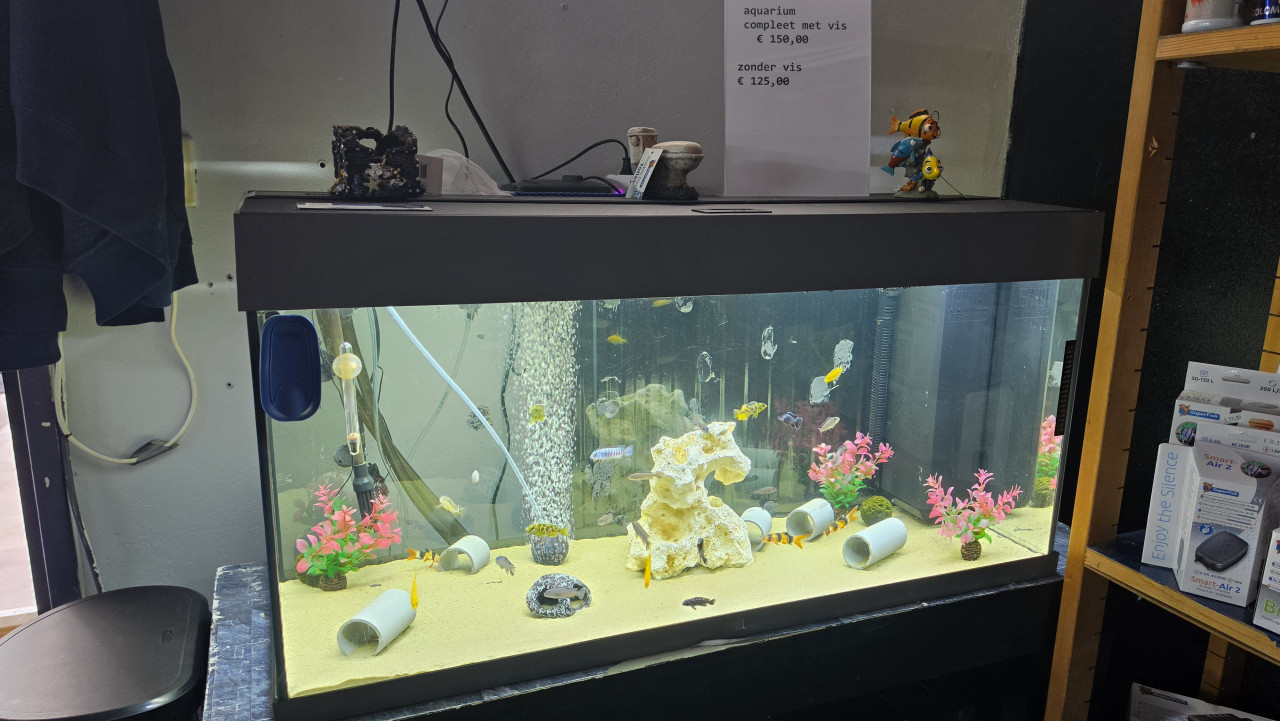 Compleet juwel aquarium