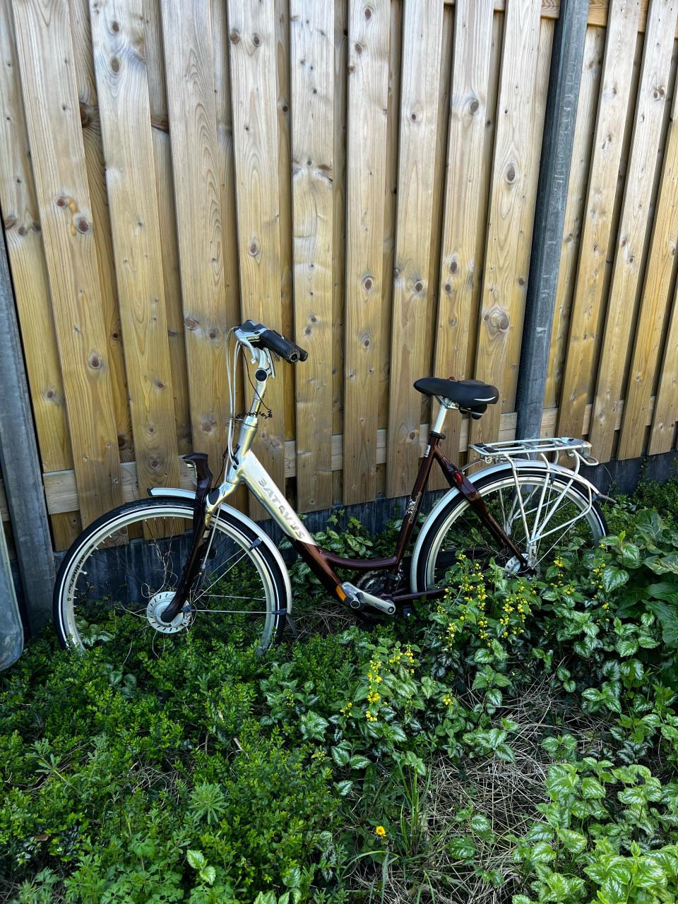 Bataves Dames Fiets om op te knappen