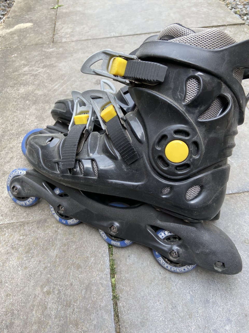 Skeelers