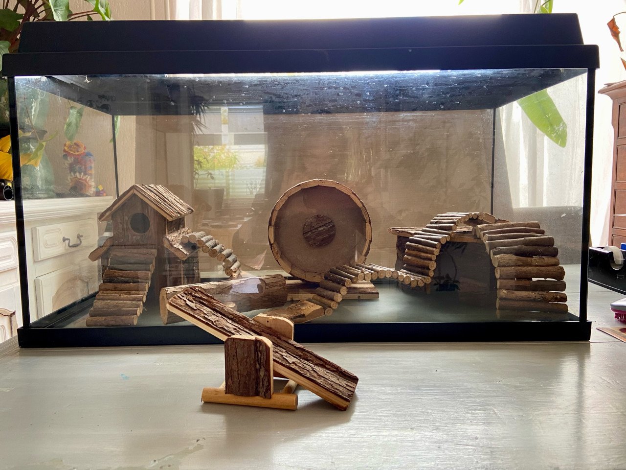 Aquarium voor dwerhamster 80 bij 35