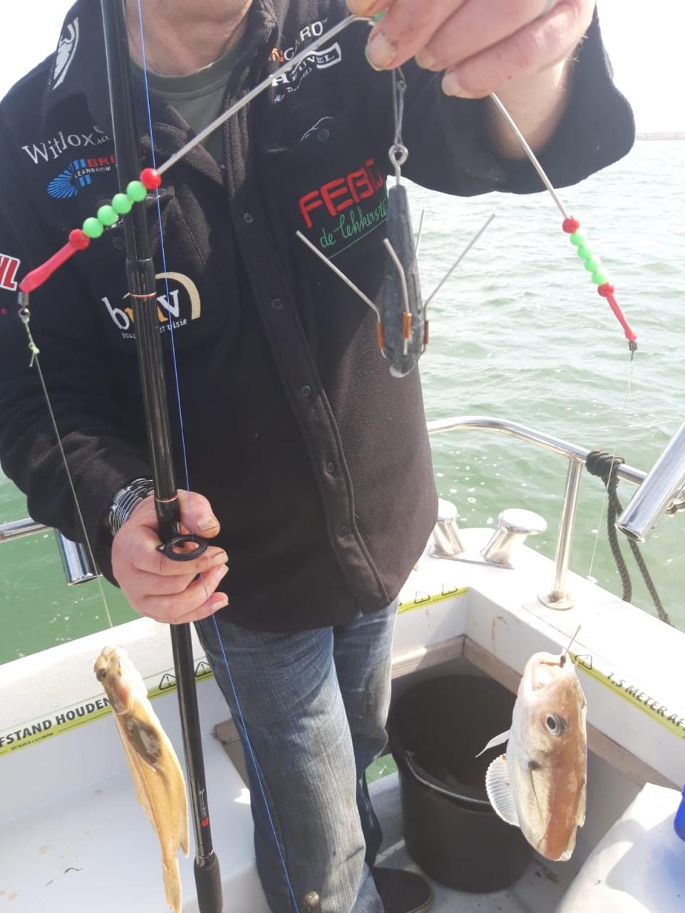 Weer de HPTS voor het bootvissen ,