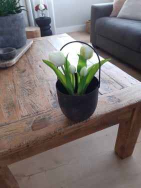 Landelijk metalen bloempotje met tulpen