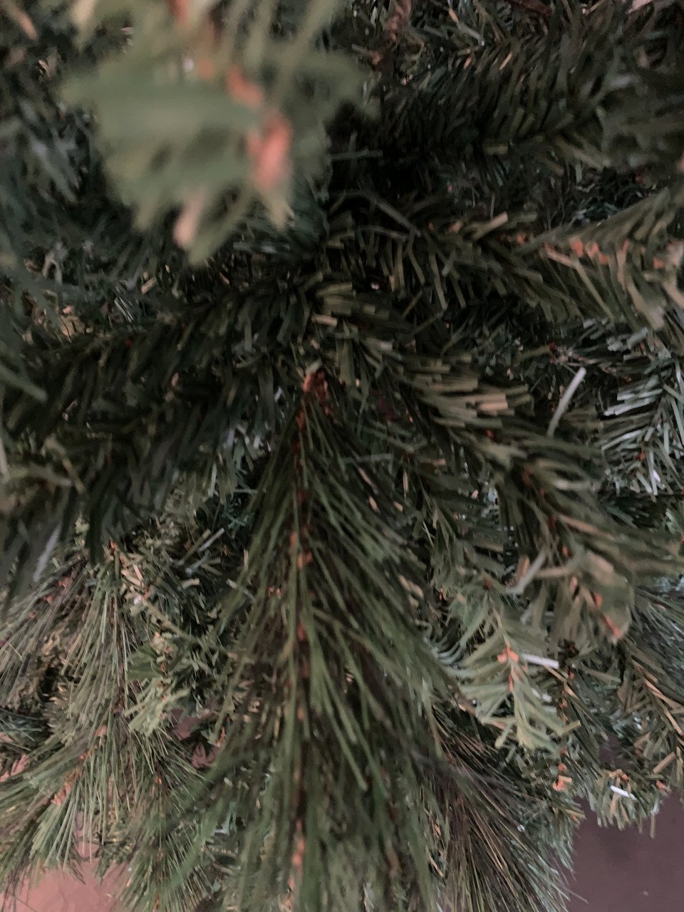 Kerstboom 2.10 hoog