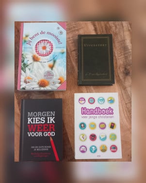 Bijbelse (dag)boeken