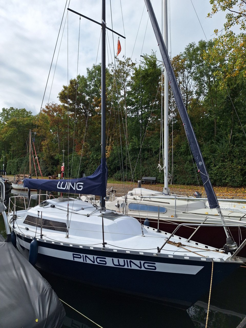 Zeilboot - Wing 720