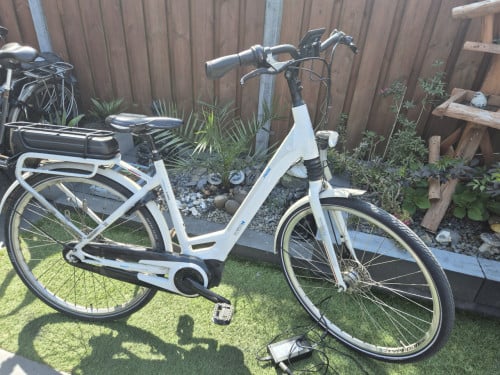 Elektrische fiets Giant | bezorgen mogelijk.